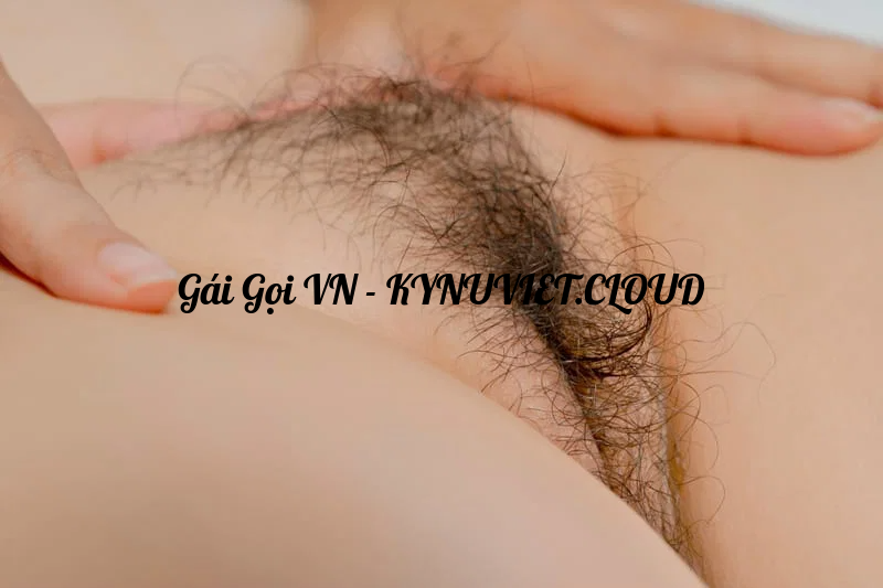 e8277cb7-04c7-48bd-a4b6-f012eb49752f_optimized.png